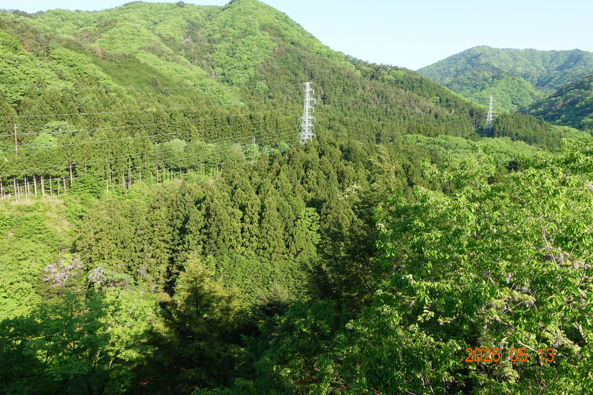 客室から見た眺望