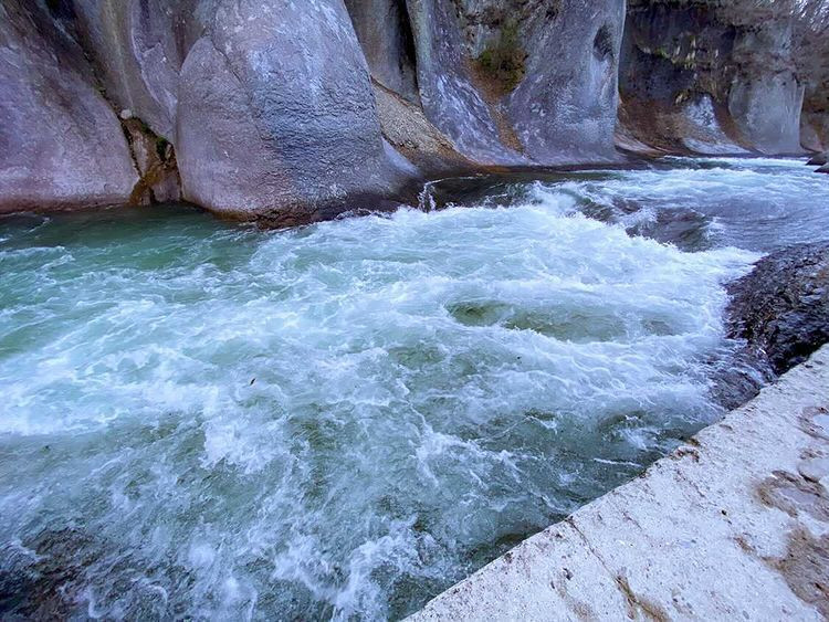 shihoko0922さんの写真 / 1