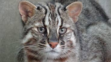 観光スポット / 7