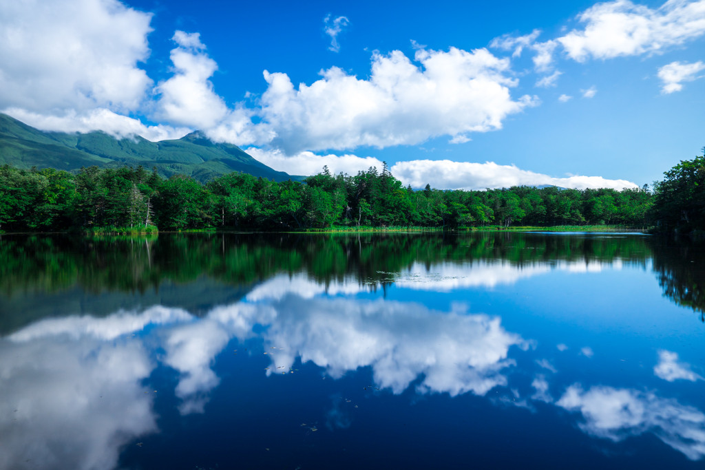 心洗われる。世界自然遺産「知床」の手付かずの大自然3387234