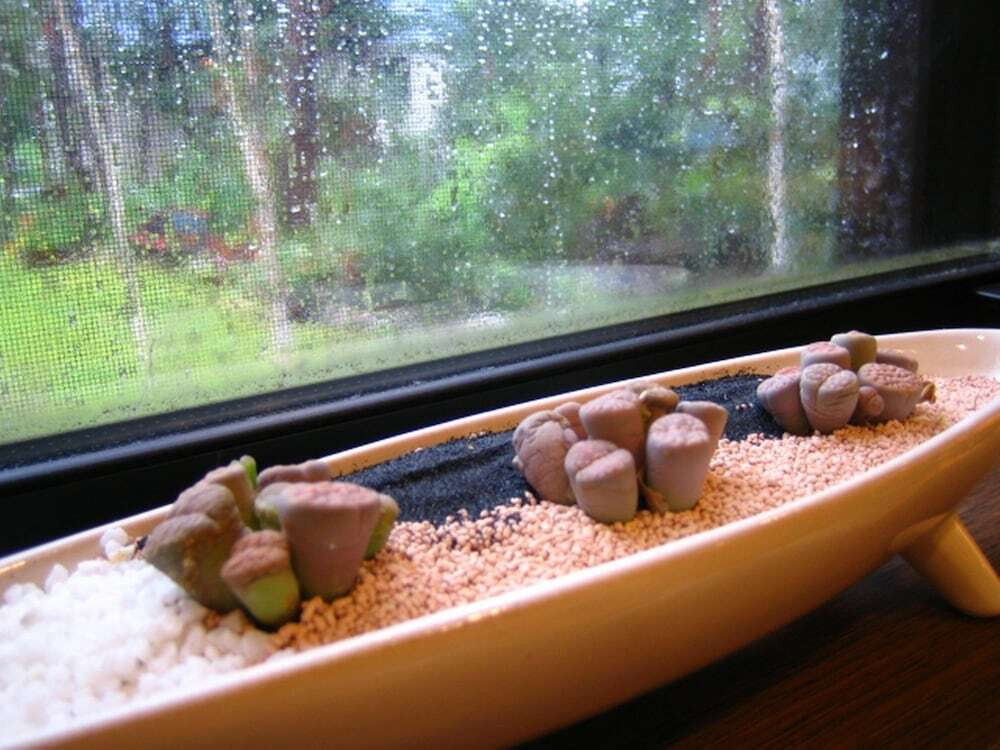 部屋からの景観