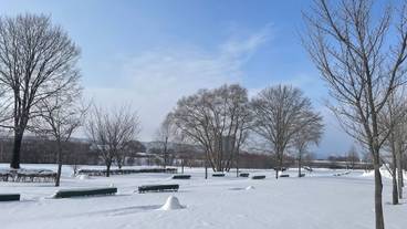 シティ ビュー / 22