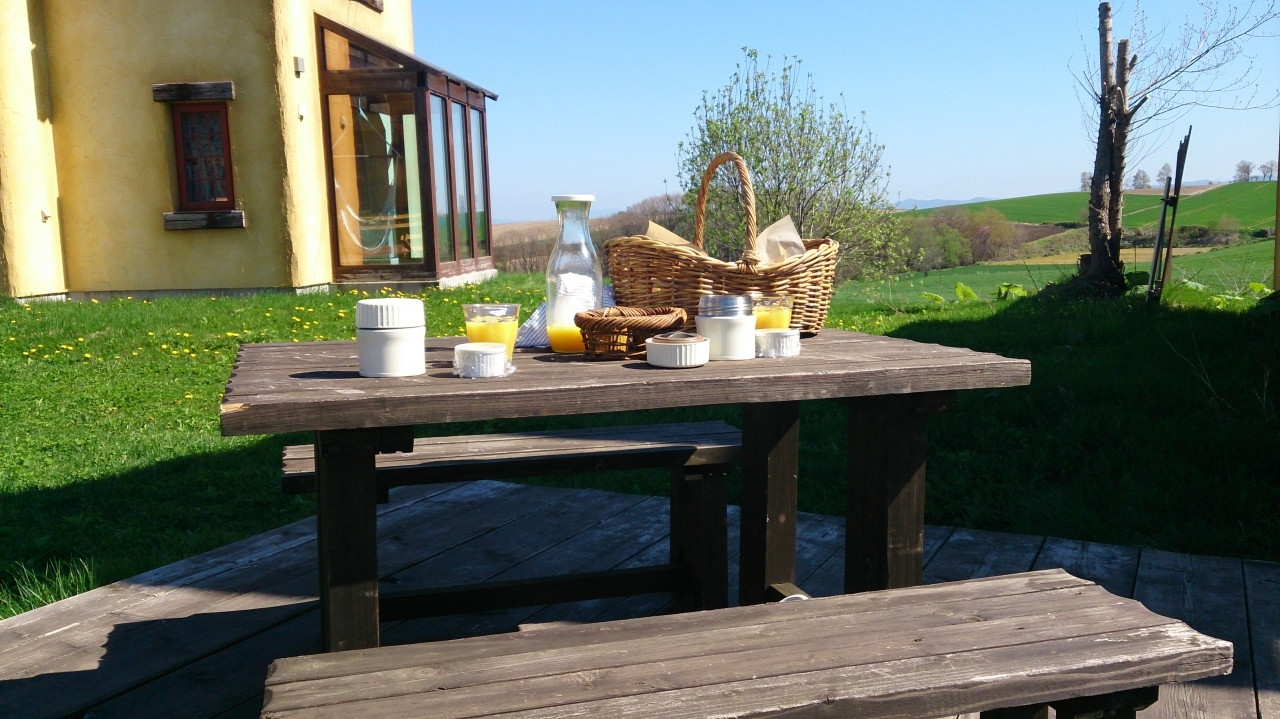 モーニング49638