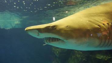 観光スポット / 7