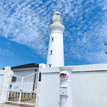 白と青のコントラストが素敵だと思い撮影しました。