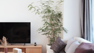 スタンダード ルーム