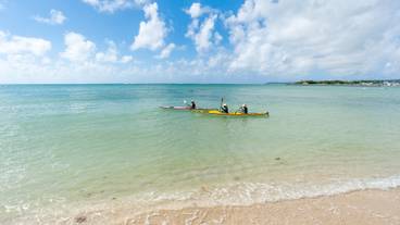 シーカヤック / 1