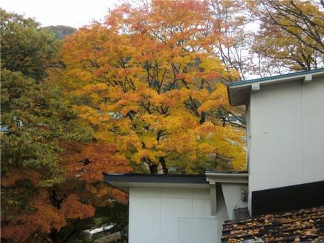 温泉民宿 栄弥 / 3