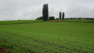 2ベッドルーム　ハウス