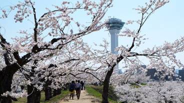 ランド ビュー / 11