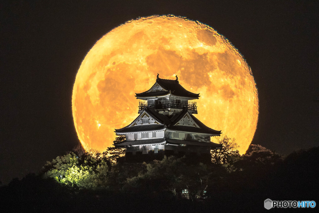 開湯は約1300年前！金華山のほとりにある小さな温泉地3385812