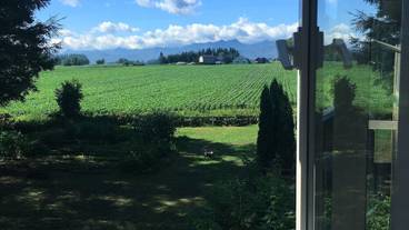 部屋からの景観 / 7