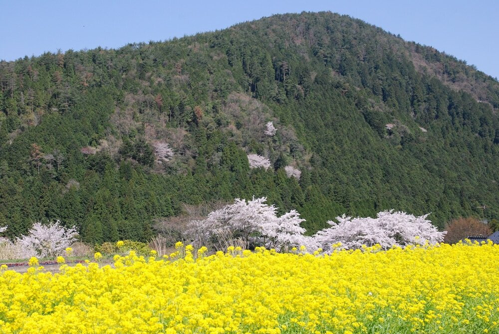 マウンテン ビュー