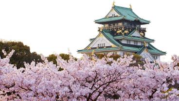 シティ ビュー / 24