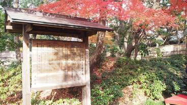 観光スポット / 8