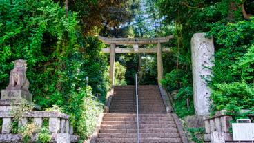 代々木八幡宮 入口 / 4