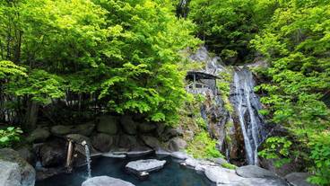 メイン イメージ / 1