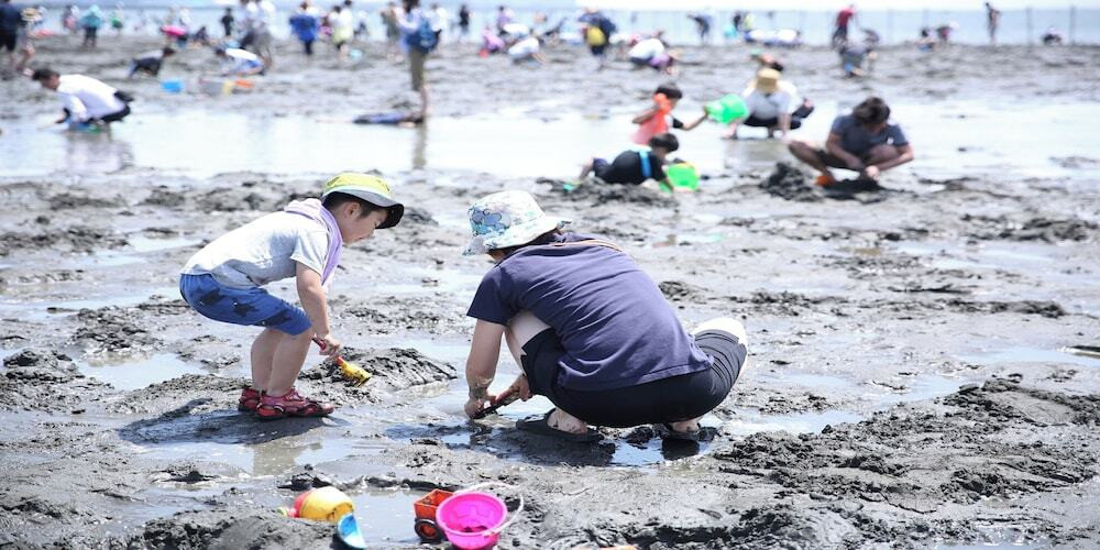 ランド ビュー