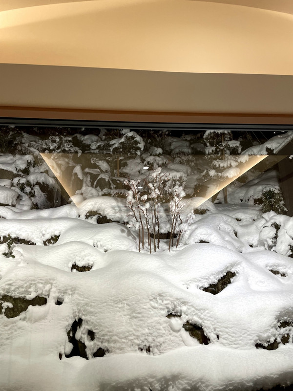 食事会場からの景色です。