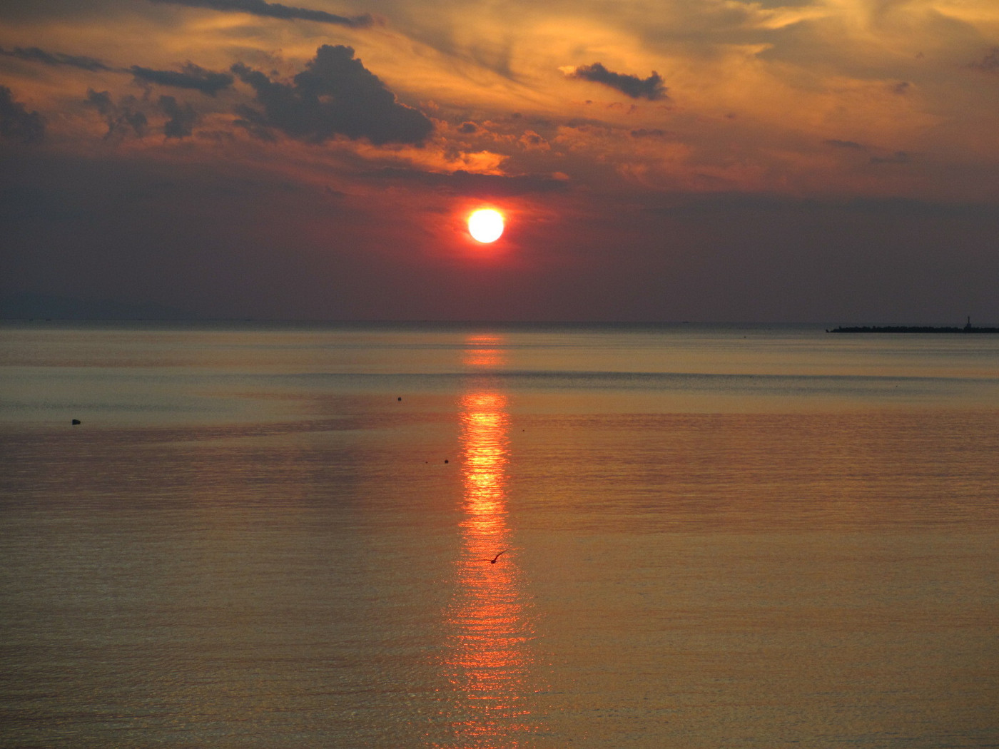 「波華楼」 その他 54007331 夕日がきれい