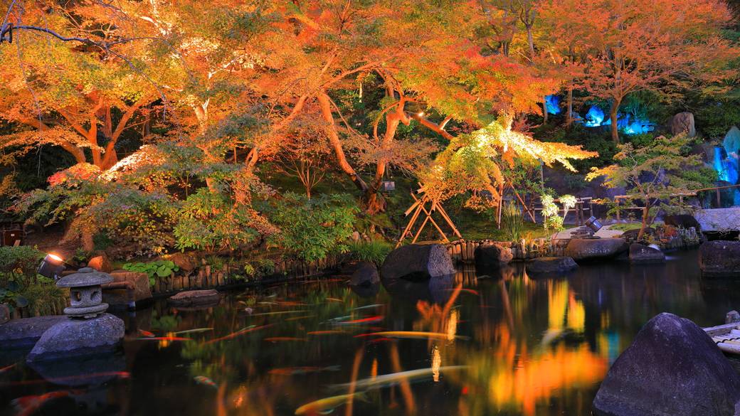「長谷寺」へ
夜の紅葉観光 / 2