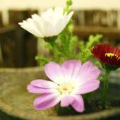 ホテル ニューウエノ（東京都 ビジネスホテル） / 5