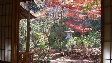 部屋からの景観 / 29