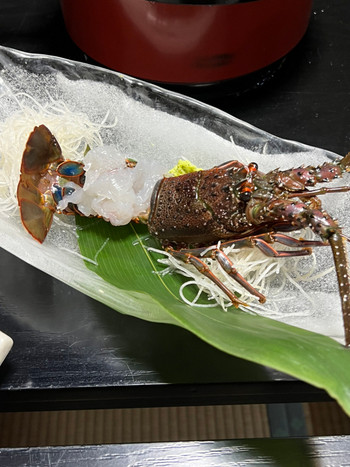 「旅館 松の家」 料理 199687432