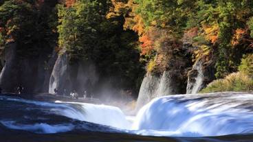 施設の敷地 / 17