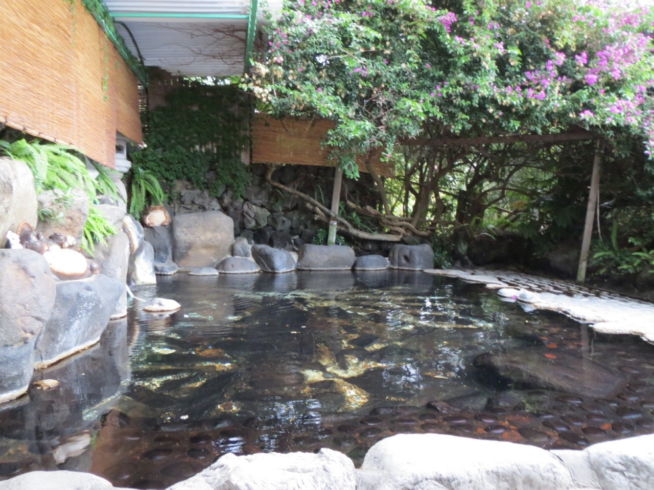 約20人が入浴できる「展望大露天風呂」がまるごと貸切OKのお宿3933749