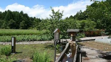 バルコニー / 24