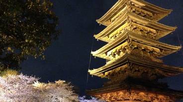 施設からの眺望 / 6