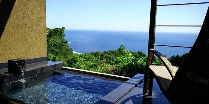 源泉と離れのお宿 月(静岡県 旅館) / 1