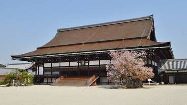 観光スポット / 11