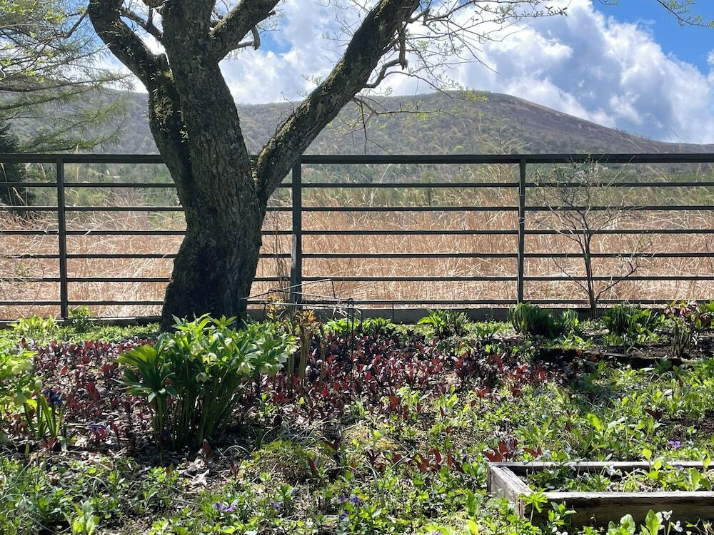 ガーデン ビュー