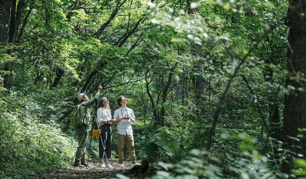 「軽井沢野鳥の森」で
ムササビと出会う / 1