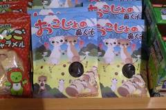 道の駅 オアシスおぶせ