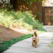 伊豆マリオットホテル修善寺(静岡県 リゾートホテル) / 2