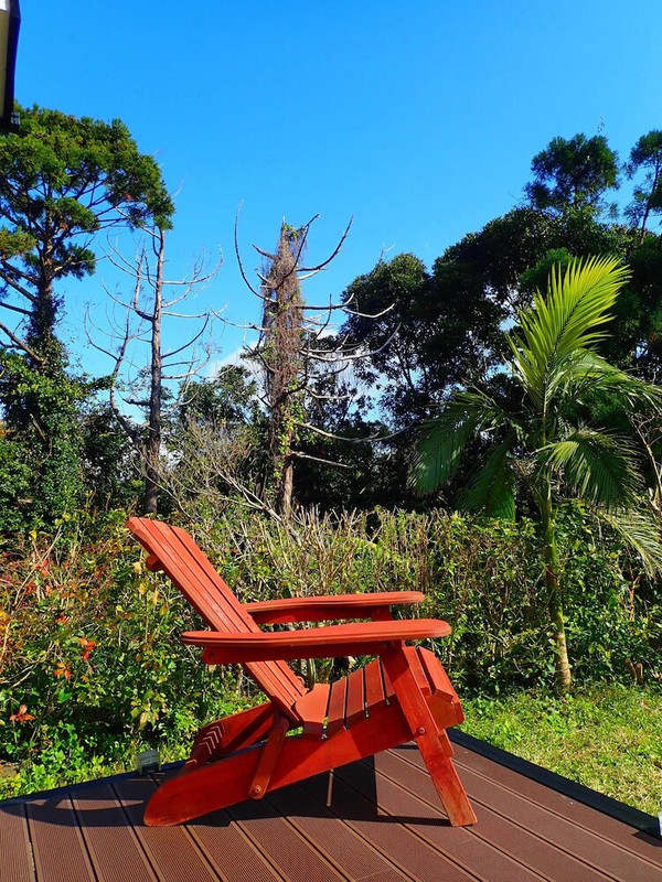 テラス / パティオ