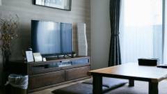 PINN-S4E5（旧：GLOWL-S4E5）