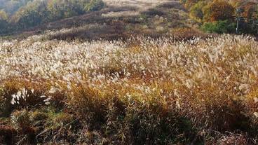 施設の敷地 / 11
