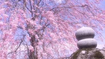 施設の敷地 / 22