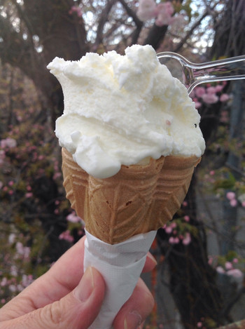 「ドーカン」料理 786658 「桜塩ミルク」:香料やエッセンスを一切感じさせない、
優しい味わい！