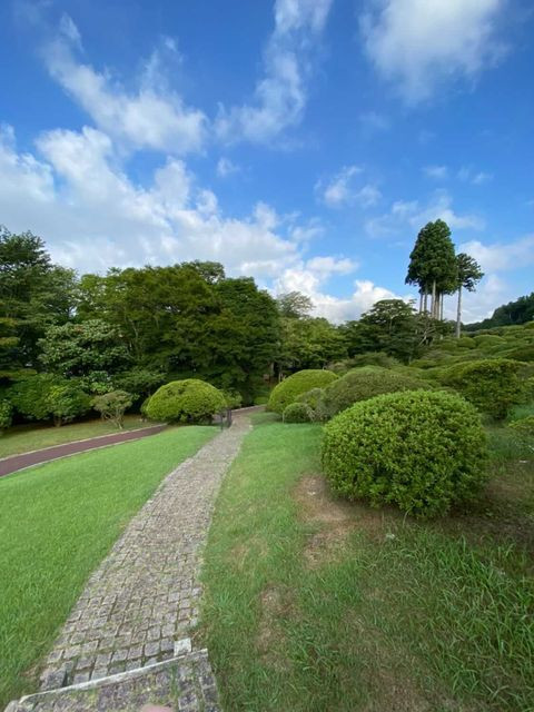 iijimatakakoさんの写真 / 3