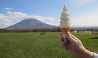 【ニセコ】ペットと一緒にドライブ旅♪ペット同伴可の美味しいグルメスポット8選