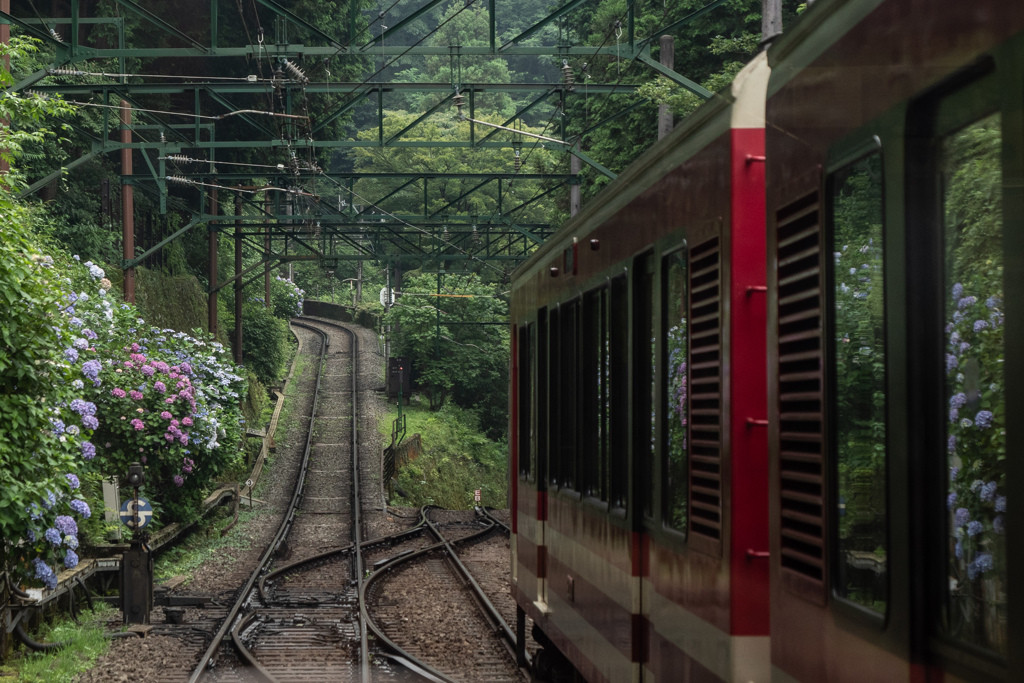 箱根登山鉄道　強羅駅のホームと女性旅行者　神奈川県足柄下郡箱根町強羅
