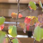 栞舎（長野県 ビジネスホテル） / 3