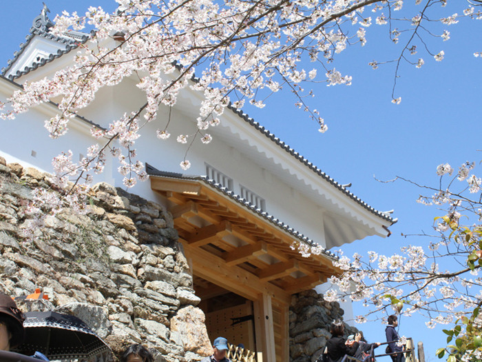 Hamamatsu Castle castle gate