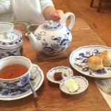 モヒーニ 四谷店（モヒーニ）