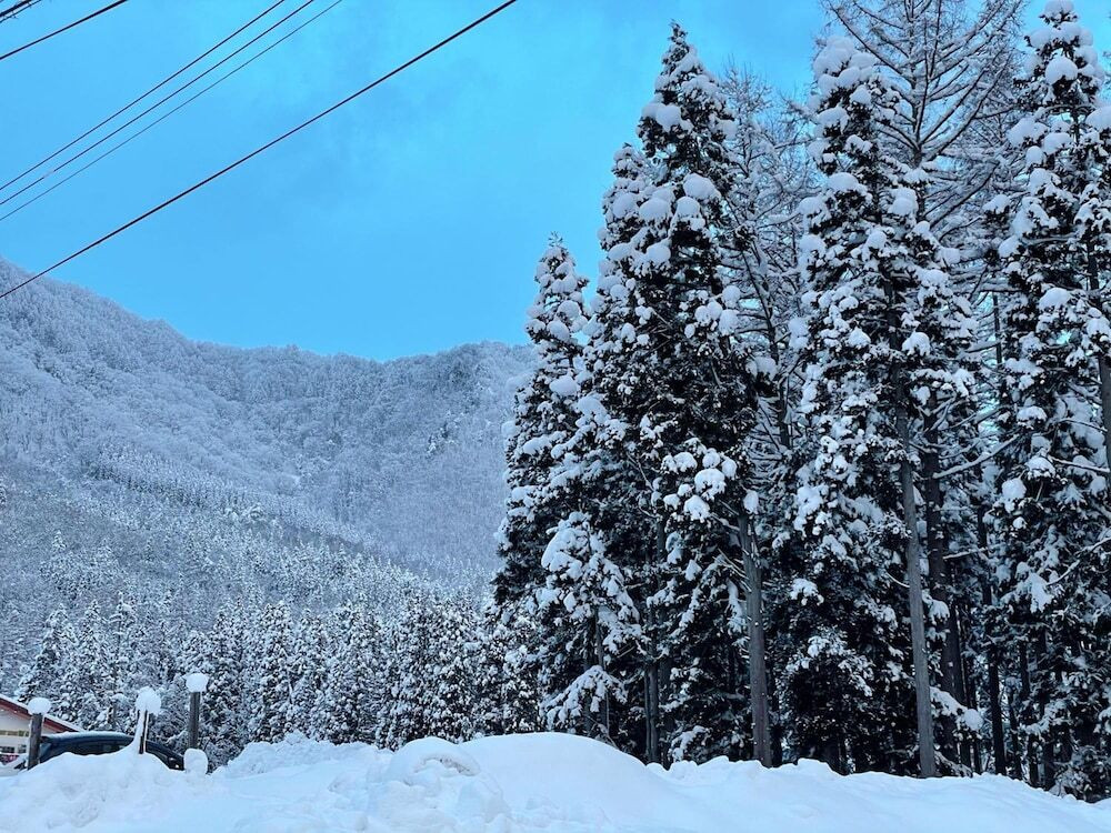 スノー スポーツとスキー